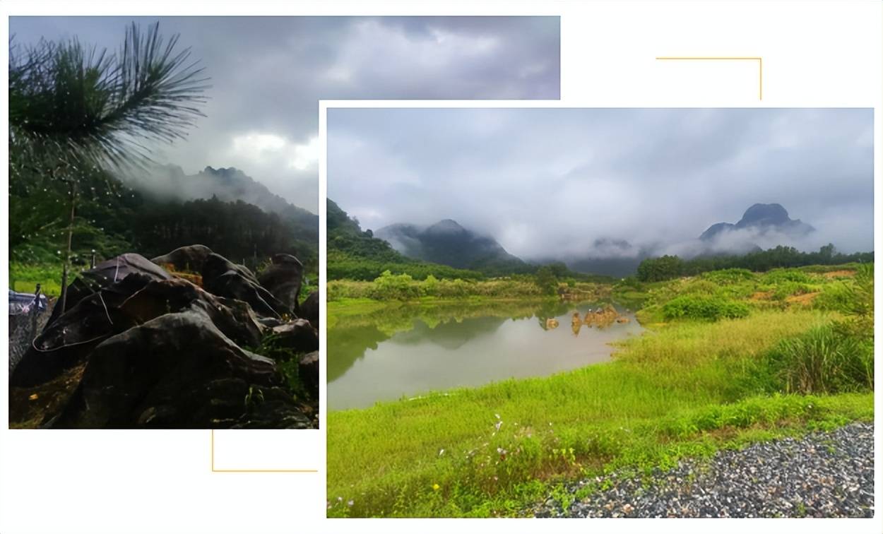 【在广东·途个乐】畅游仙湖营地，奢享雨后盛景 